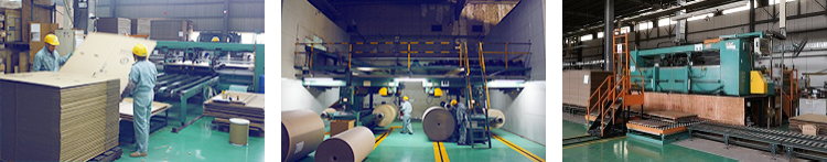 1561359974.png 全球网络-1.png